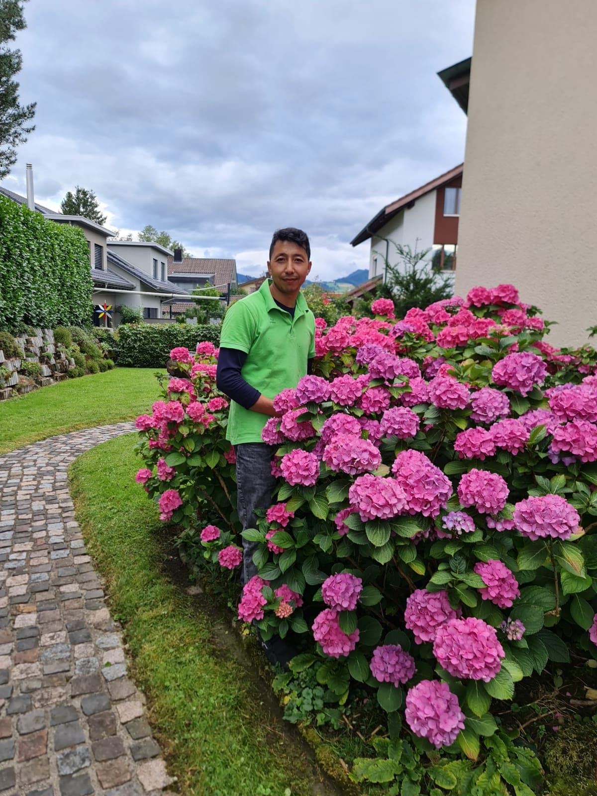 Ziaii Panji bei einem Kundeneinsatz in Menzingen — Rückschnitt einer Hortensie